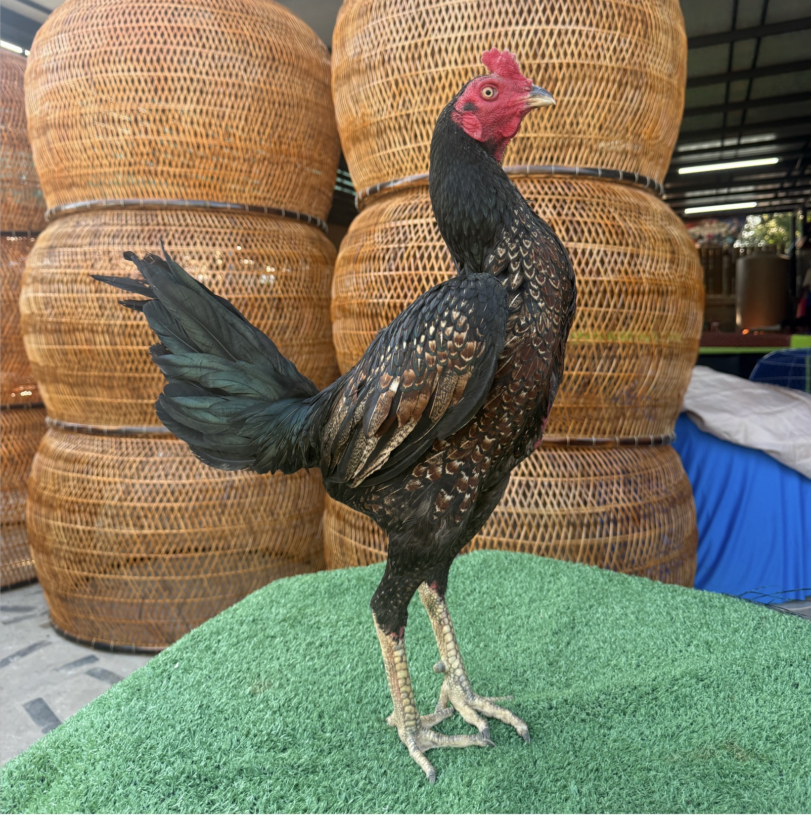 ซุปเปอร์เล็ก